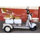 Пассажирский электротрицикл AVM City 650