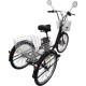 Электровелосипед AVM E-ALFA TRIKE 24 Черный