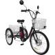 Электровелосипед AVM E-ALFA TRIKE 24 Черный