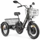 Электротрицикл Green City e-Alfa Trike Чёрный