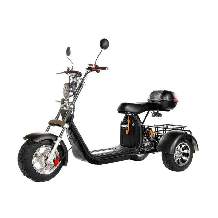 Электроскутер Трицикл CityCoco GT X11 Pro Trike 3000 W (2023)