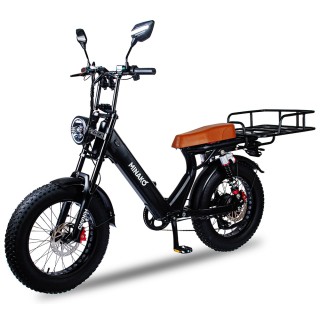Электровелосипед Minako Bizon