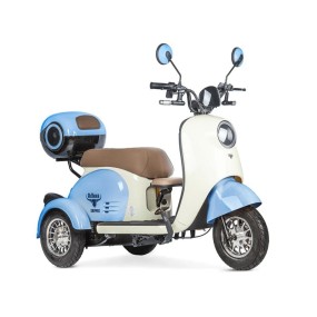 Электротрицикл Rutrike Шкипер New Бело-голубой