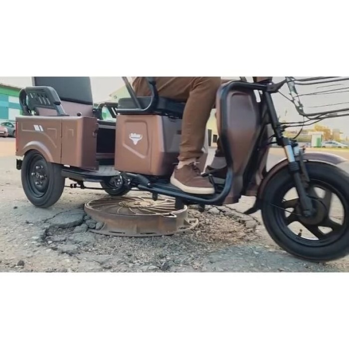 Электротрицикл Rutrike Вагон