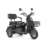 Электрический трицикл Rutrike Патрон