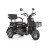 Электрический трицикл Rutrike Патрон