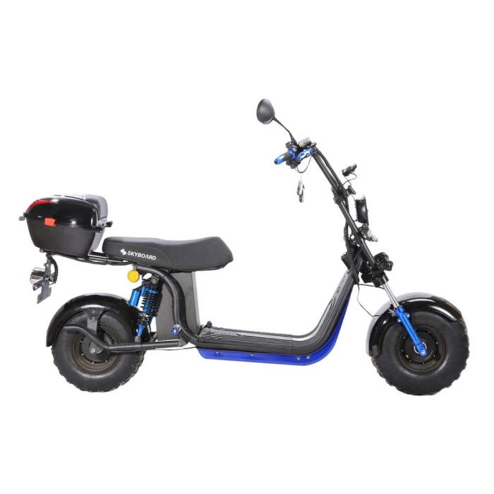 Электроскутер Skyboard Volga BR20-2WD 4000W Чёрный