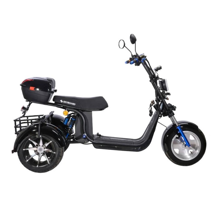Электроскутер трицикл Skyboard MyRussia TRIKE BR60 3000W Чёрный