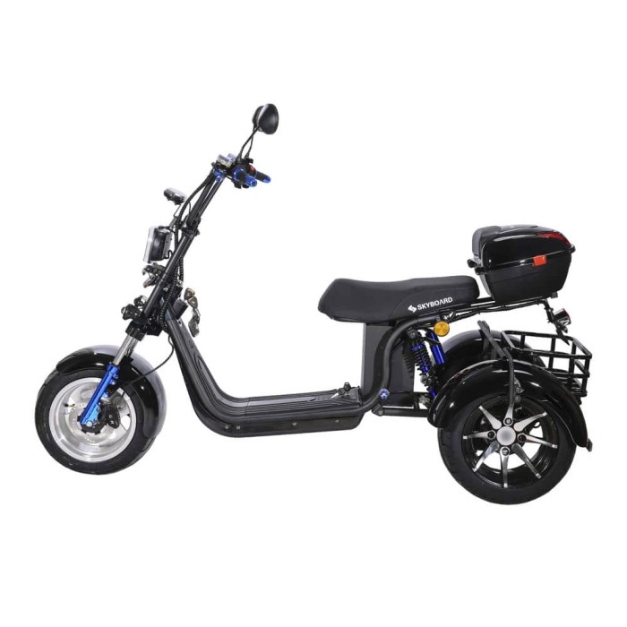 Электроскутер трицикл Skyboard MyRussia TRIKE BR60 3000W Чёрный