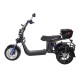 Электроскутер трицикл Skyboard MyRussia TRIKE BR60 3000W Чёрный