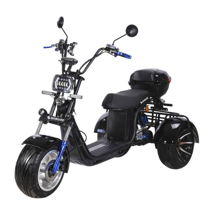 Электроскутер трицикл Skyboard MyRussia TRIKE BR60 3000W Чёрный
