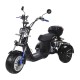 Электроскутер трицикл Skyboard MyRussia TRIKE BR60 3000W Чёрный
