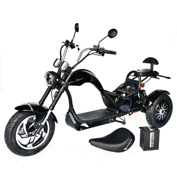 Электроскутер трёхколёсный Skyboard Elbrus Chopper 4000W