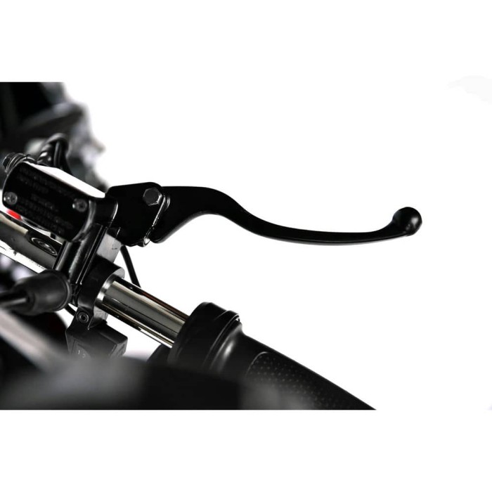Электроскутер трёхколёсный Skyboard Elbrus Chopper 4000W