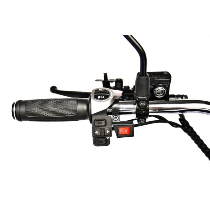Электроскутер трёхколёсный Skyboard Elbrus Chopper 4000W
