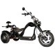 Электроскутер трёхколёсный Skyboard Elbrus Chopper 4000W