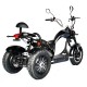 Электроскутер трёхколёсный Skyboard Elbrus Chopper 4000W