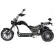 Электроскутер трёхколёсный Skyboard Elbrus Chopper 4000W