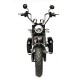 Электроскутер трёхколёсный Skyboard Elbrus Chopper 4000W