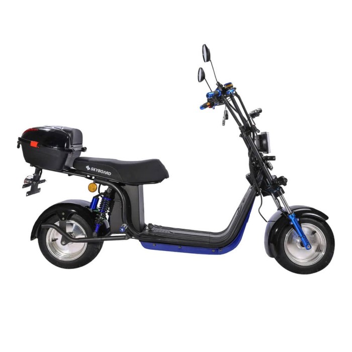 Электроскутер Skyboard Ural BR30-2WD 4000W Чёрный