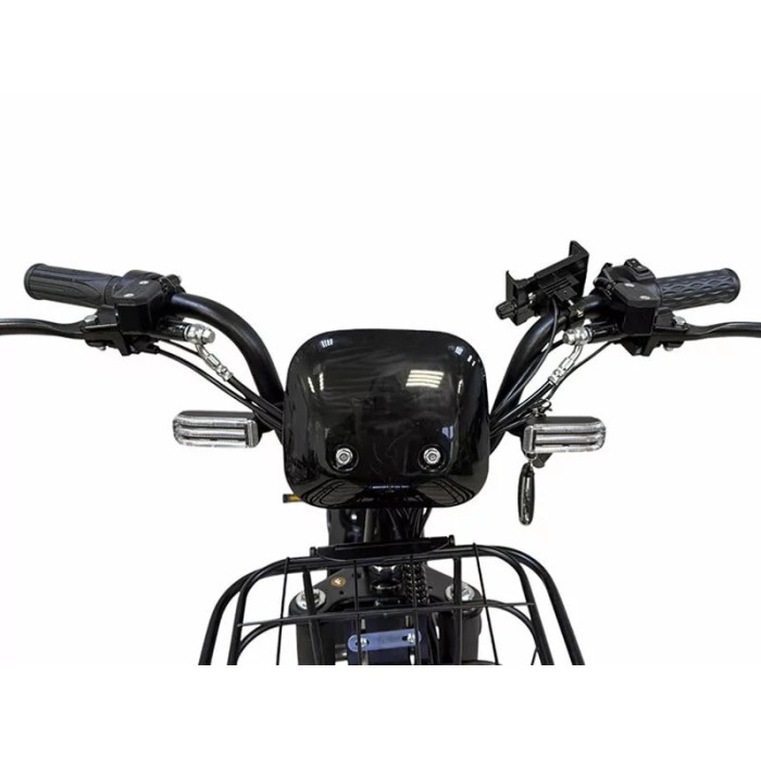Электровелосипед Smart8 Dacha Pro