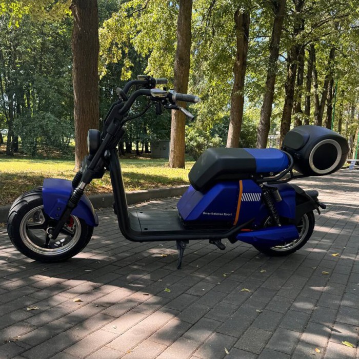 Электроскутер SmartBalance Sport