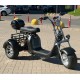 Электроскутер SmartBalance X11 Trike