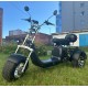 Электроскутер SmartBalance X11 Trike