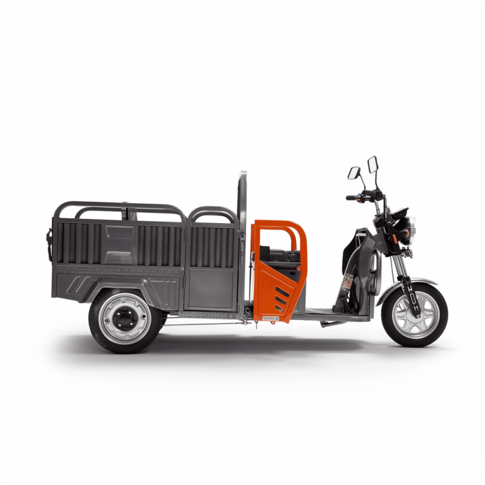 Трицикл электрический BNP Zevs Ultra Combi