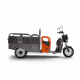 Трицикл электрический BNP Zevs Ultra Combi