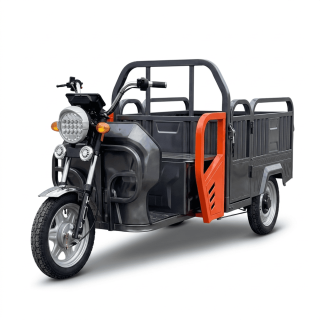 Трицикл электрический BNP Zevs Ultra Combi