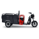 Трицикл электрический BNP Zevs Ultra Combi