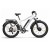 Электровелосипед Eltreco BigCat Dual Next PRO
