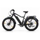 Электровелосипед Eltreco BigCat Dual Next