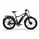 Электровелосипед Eltreco BigCat Dual Next