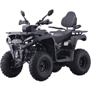 Квадроцикл AVM Adventure 250 Черный