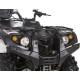 Квадроцикл полноприводный Baltmotors Striker 700 EFI