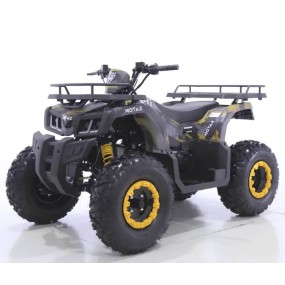 Квадроцикл Motax Grizlik T200