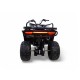 Квадроцикл Motax Grizlik W200