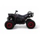 Квадроцикл Motax Grizlik W200