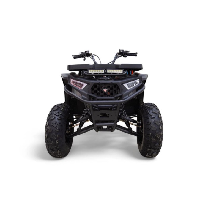 Квадроцикл Motax Grizlik W200
