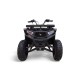 Квадроцикл Motax Grizlik W200