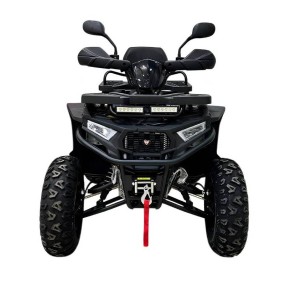 Квадроцикл Motax Grizlik W200 Lux
