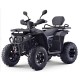 Квадроцикл Motax Grizlik W200 Lux