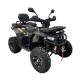 Квадроцикл Motax Grizlik W200 Lux