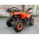 Квадроцикл Motoland Scorpion 50cc E-start