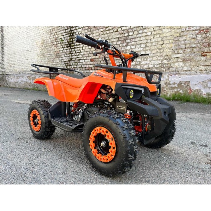 Квадроцикл Motoland Scorpion 50cc E-start