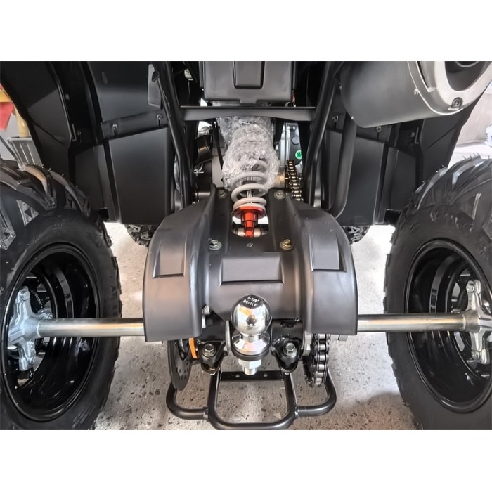 Квадроцикл SmartBalance Patrul 200