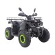 Квадроцикл TaoMotor JAEGER 2 (мотокомплект)