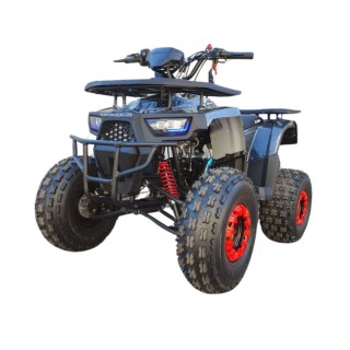 Квадроцикл WELS THUNDER AX 125